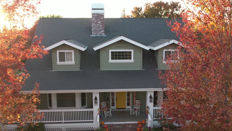 Best Roof Installation  in Mount Olive, MS