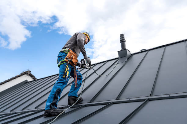 Best Roof Ventilation Installation  in Mount Olive, MS